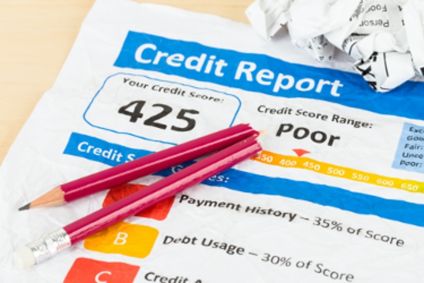 Business Credit Report