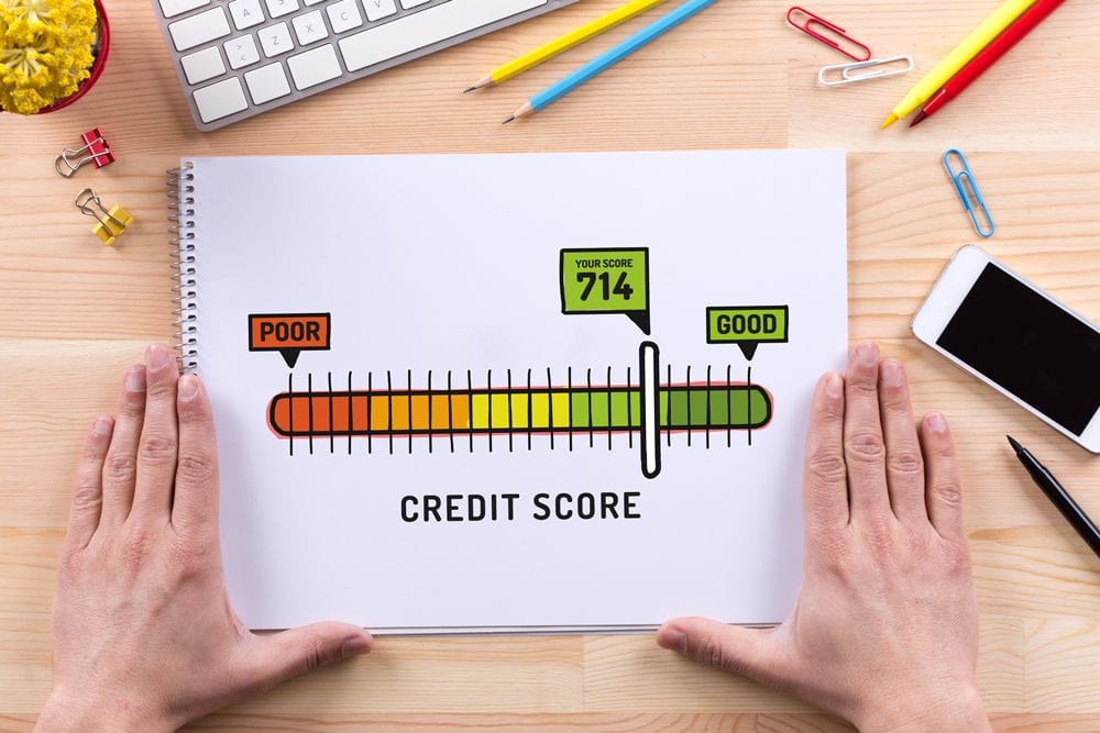 Credit Reports